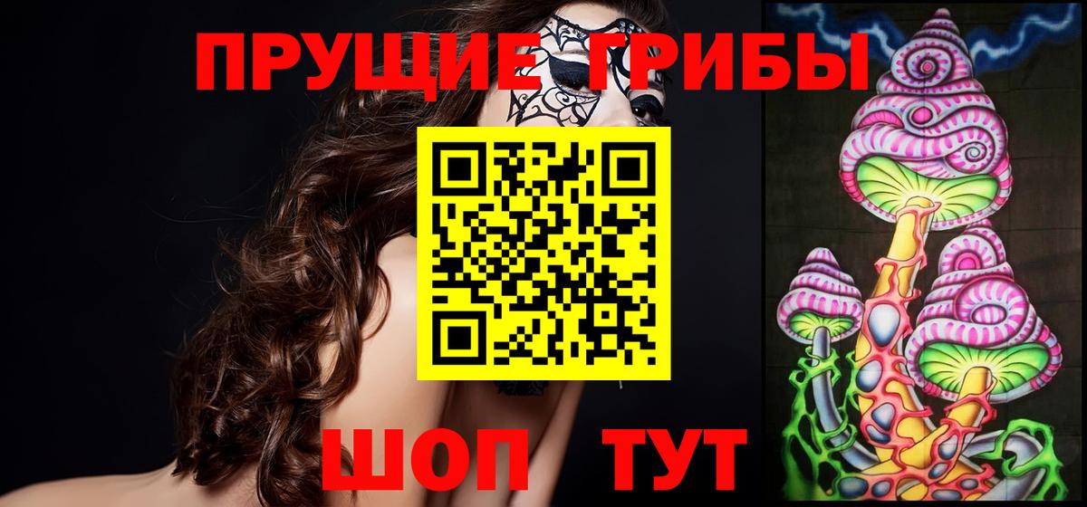 Псилоцибиновые грибы прущие грибы  Вход с VPN  Луга 