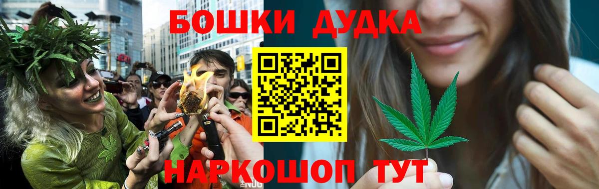 Конопля сатива Луга